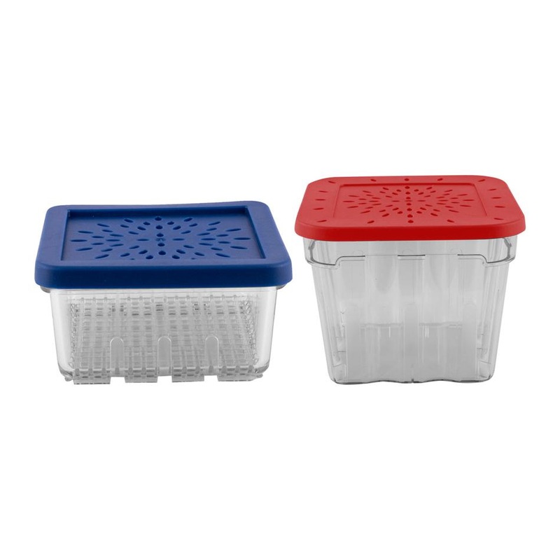 Avanti Berry Baskets 2 Piece Set 12338