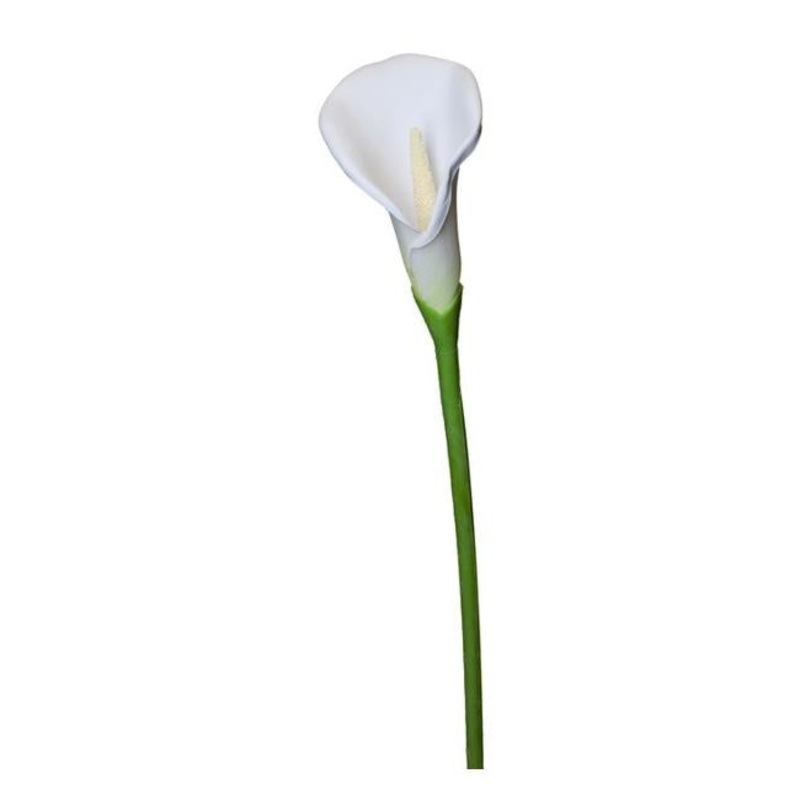 Rembrandt Calla Lily Spray / White PG1017
