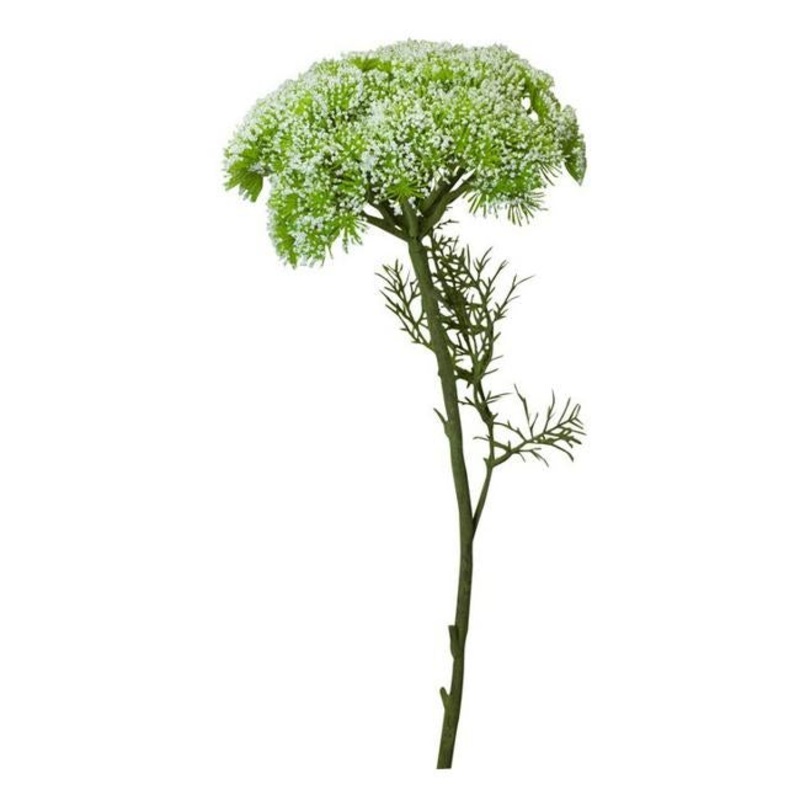 Rembrandt Queen Annes Lace Spray / White PG1010