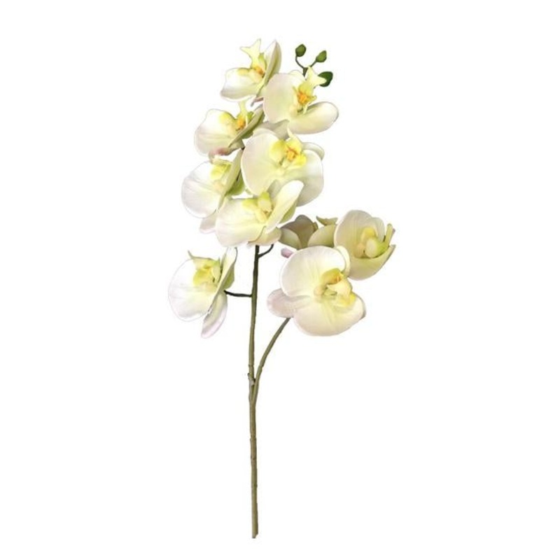 Rembrandt Real Touch Orchid 1 Spray Stem - Light Green YI1012