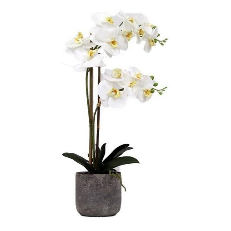 Rembrandt Real Touch Orchid 2 Spray  YI1009