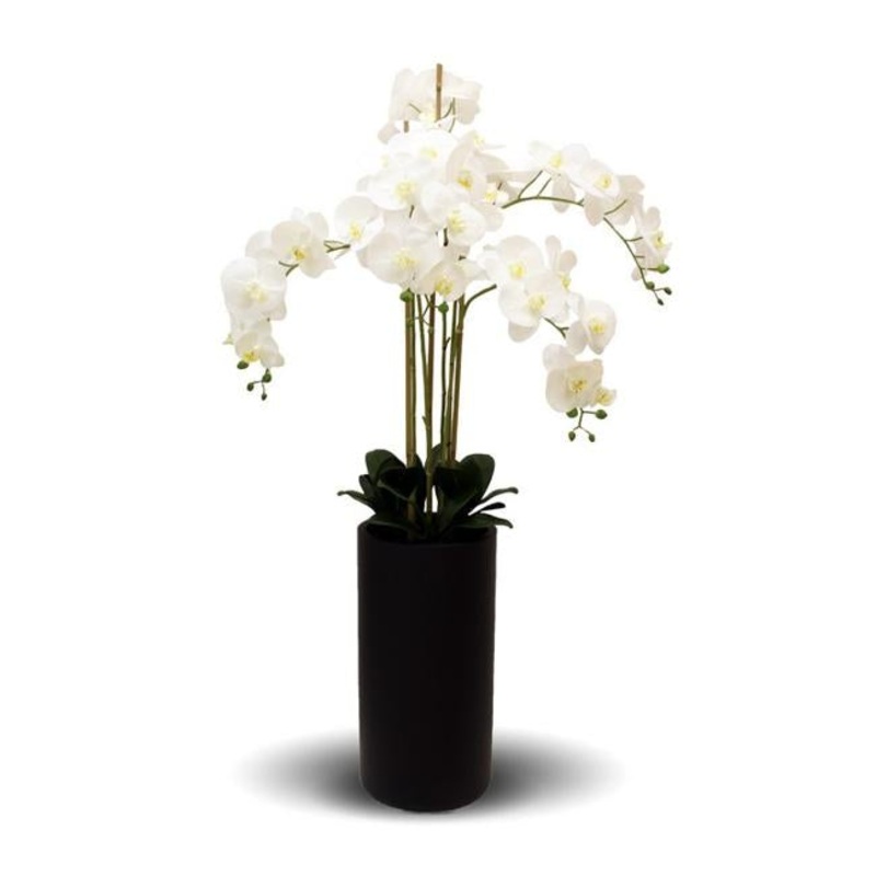 Rembrandt Real Touch Orchid 5 Spray YI1016