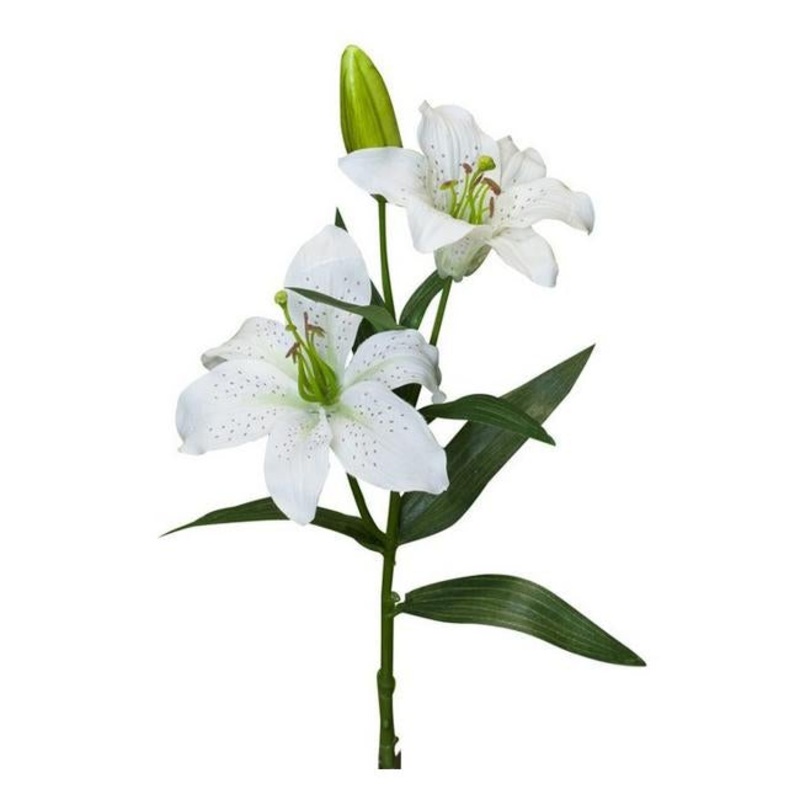 Rembrandt Tiger Lily Spray  / White PG1015
