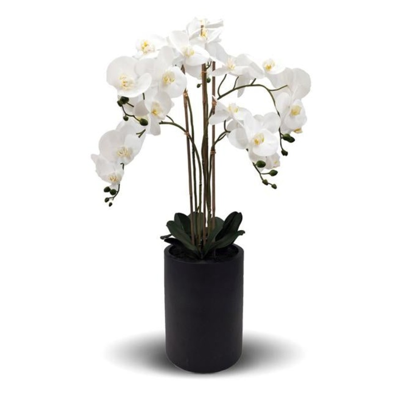 Rembrandt Real Touch Orchid 5 Spray YI1017