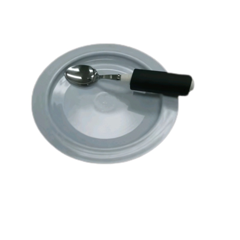 Parsons Plate Inner Lip, Blue 16T118BL
