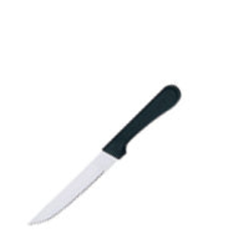 Steak Knife Pointed Tip