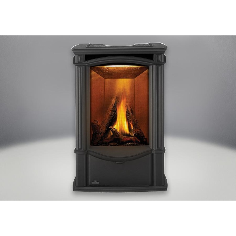 Napoleon Castlemore Gas Stove