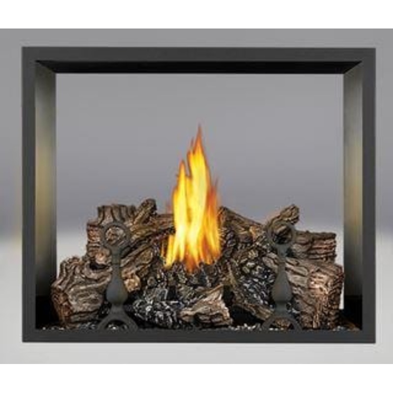 Napoleon High Definition 81 See-Thru Gas Fireplace