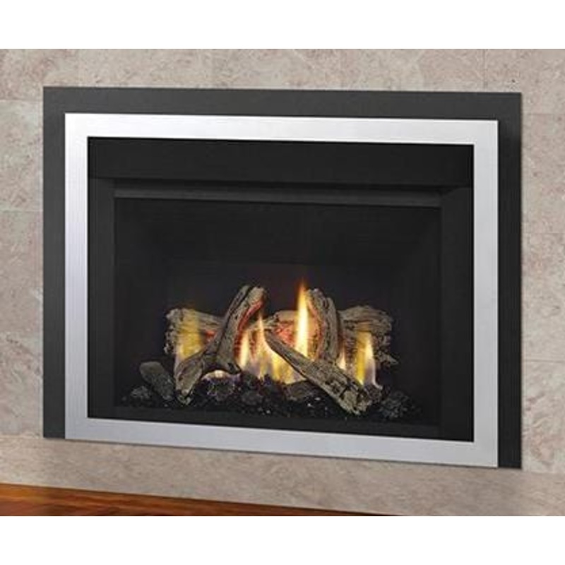 Regency Horizon HRI3E Gas Insert