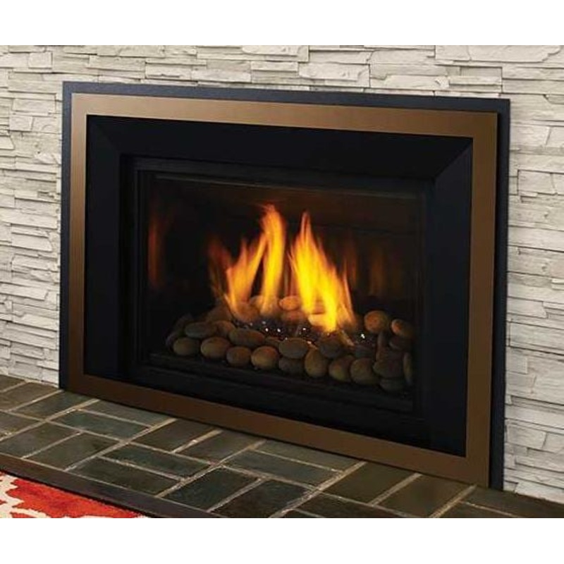 Regency Horizon HRI6E Gas Insert