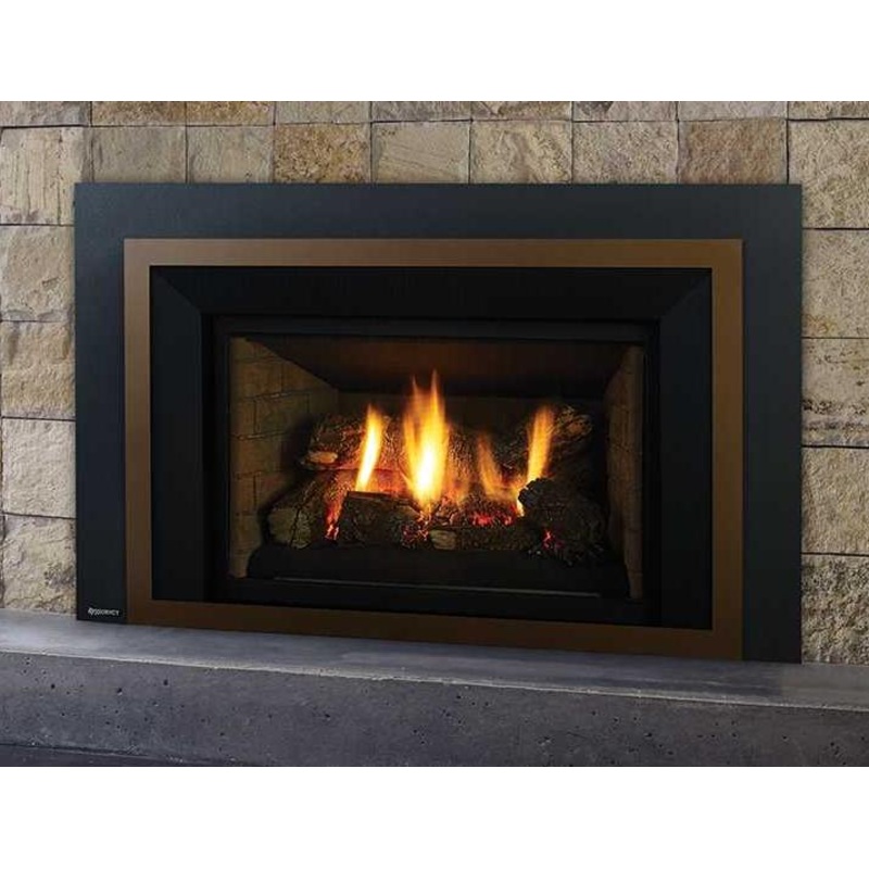Regency Liberty LRI4E Gas Insert