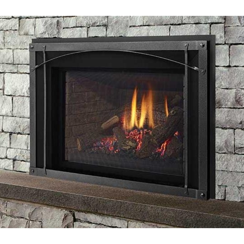 Regency Liberty LRI6E Gas Insert