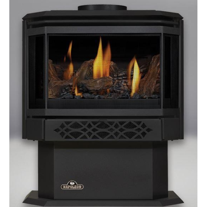 Napoleon Haliburton Gas Stove