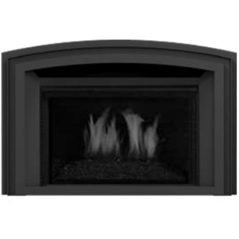 Regency Arched Vignette Series Faceplate (LRI4E)