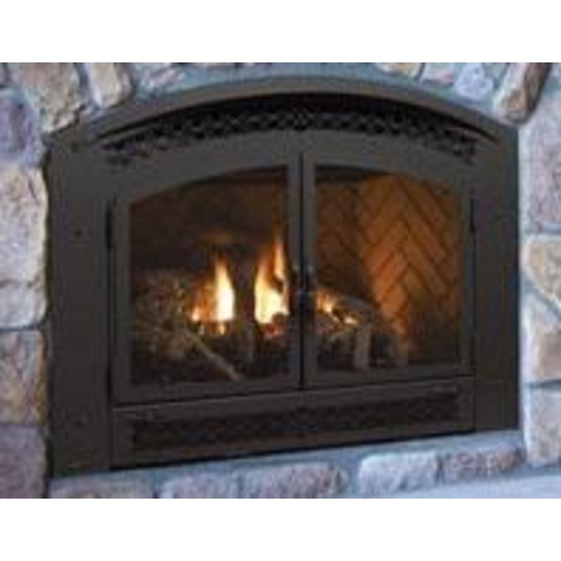Regency Black Double Door (Excalibur P90E) - 792-950
