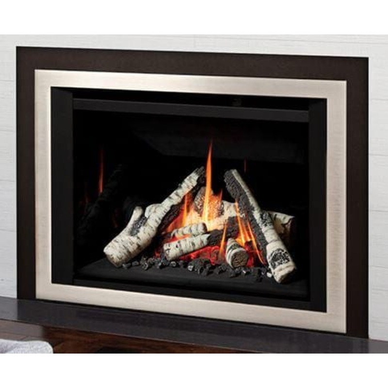 Valor G4 Efficient Gas Insert