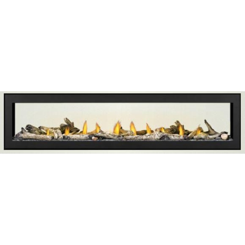 Napoleon Vector 38 See-Thru Direct-Vent Gas Fireplace