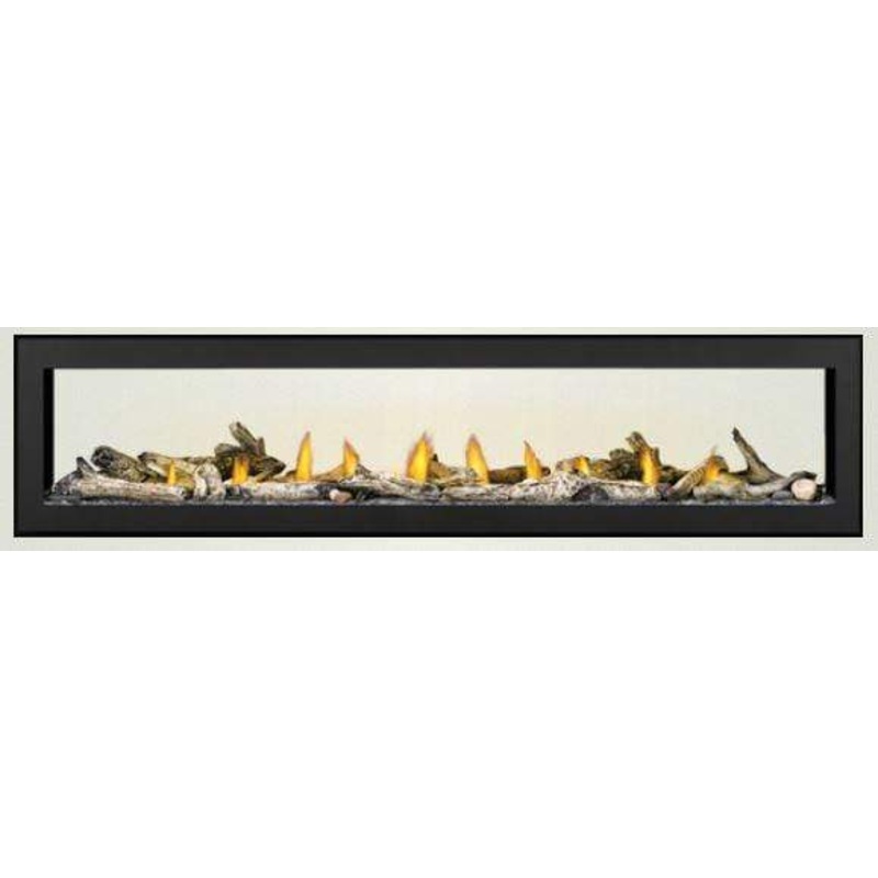 Napoleon Vector 62 See-Thru Direct-Vent Gas Fireplace