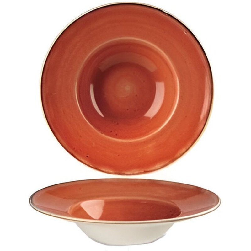 Churchill - 9.5" Super Vitrified Stonecast Spiced Orange Wide Rim Bowl, Pack of 12 - SSOSVWBM1