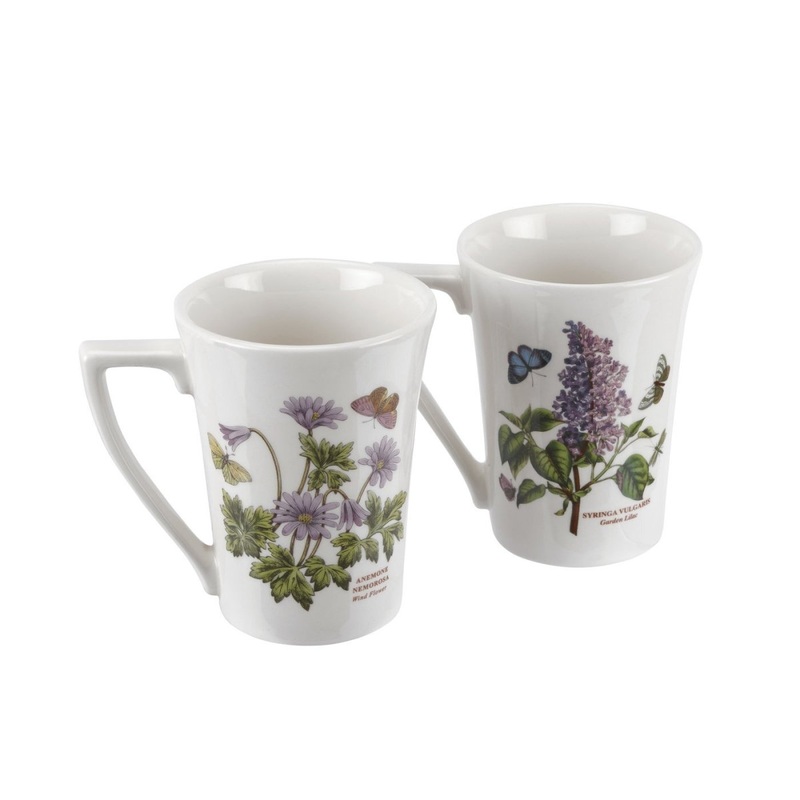 Portmeirion Botanic Garden Mug Mandarin Set of 2 (280ml)