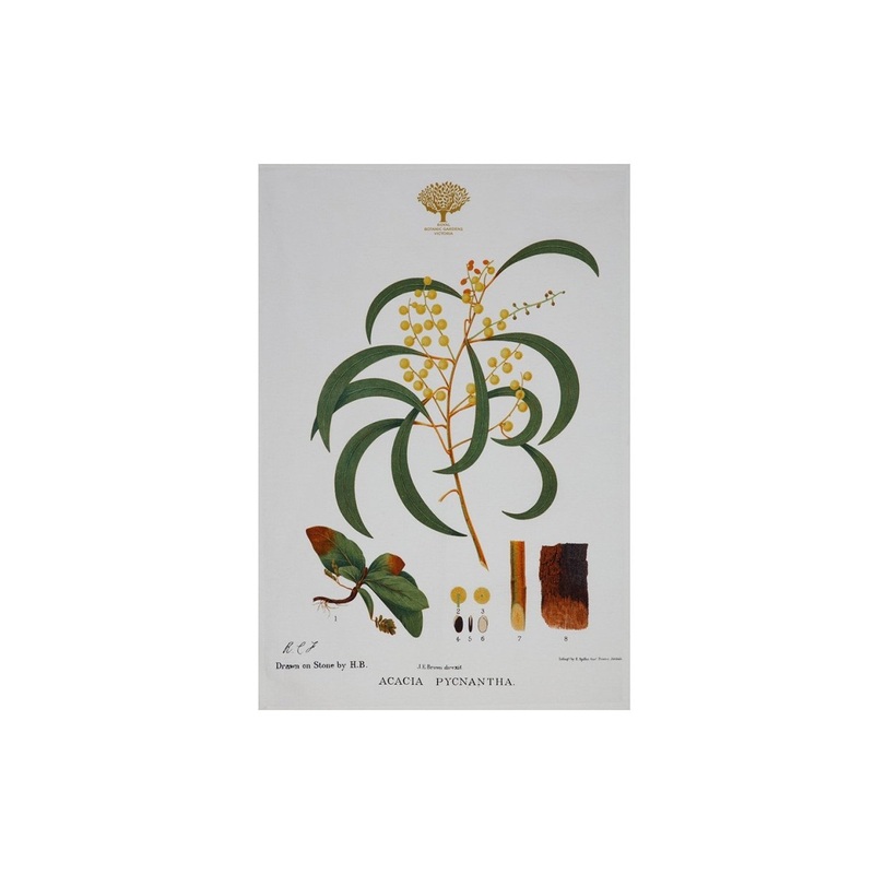 Royal Botanic Garden Tea Towel Wattle 50 x 70cm