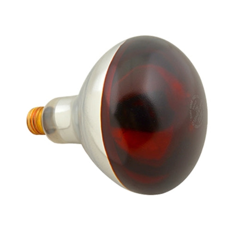 FMP 253-1119Heat Lamp Bulb