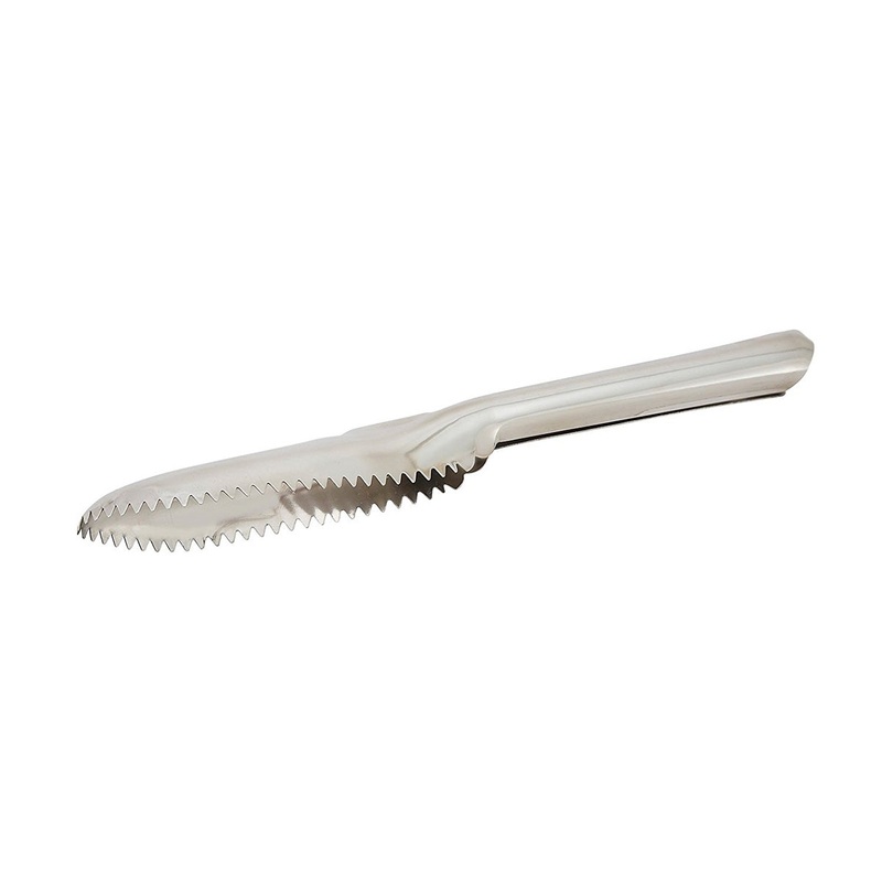 Fish Scaler, 9-1/2"