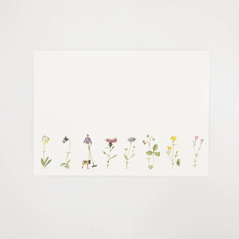 Wildflower Flat Note Cards - 12/pkg