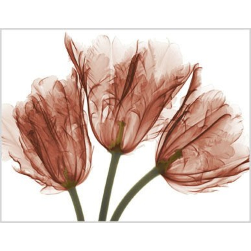 Greeting Card, I Love You