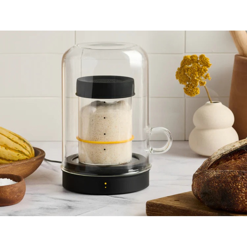 Advanced Sourdough Baker (SET/10)