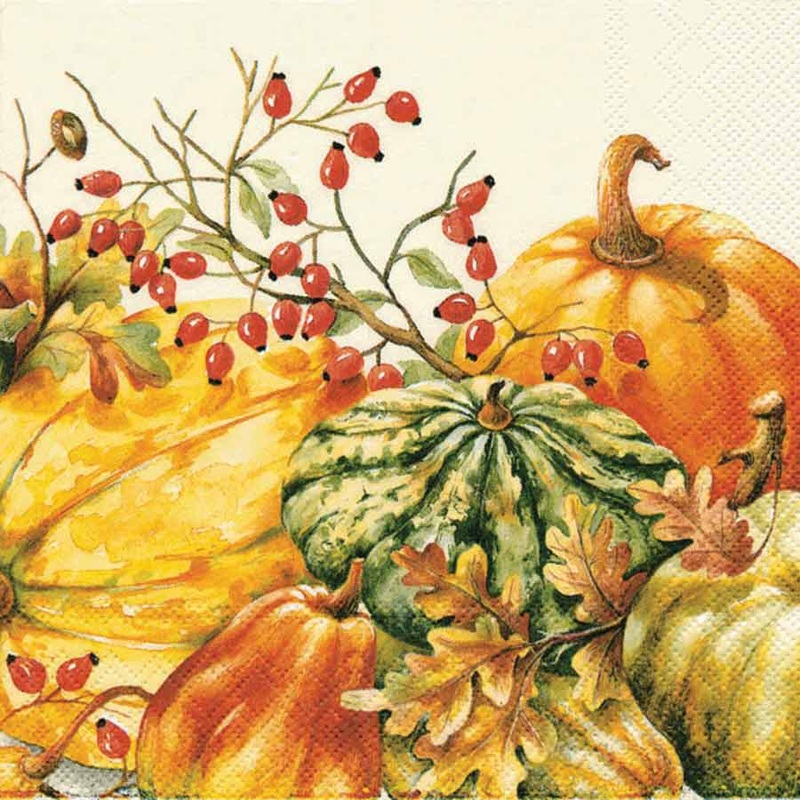 Calabaza Pumpkin Fall Paper Cocktail Napkins Pkg/200